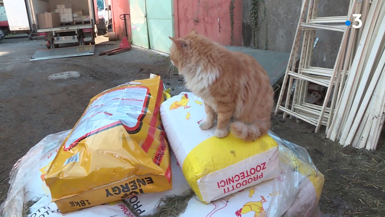 Breil-sur-Roya, 4 mois après la tempête Alex et les inondations, où en est-on ?