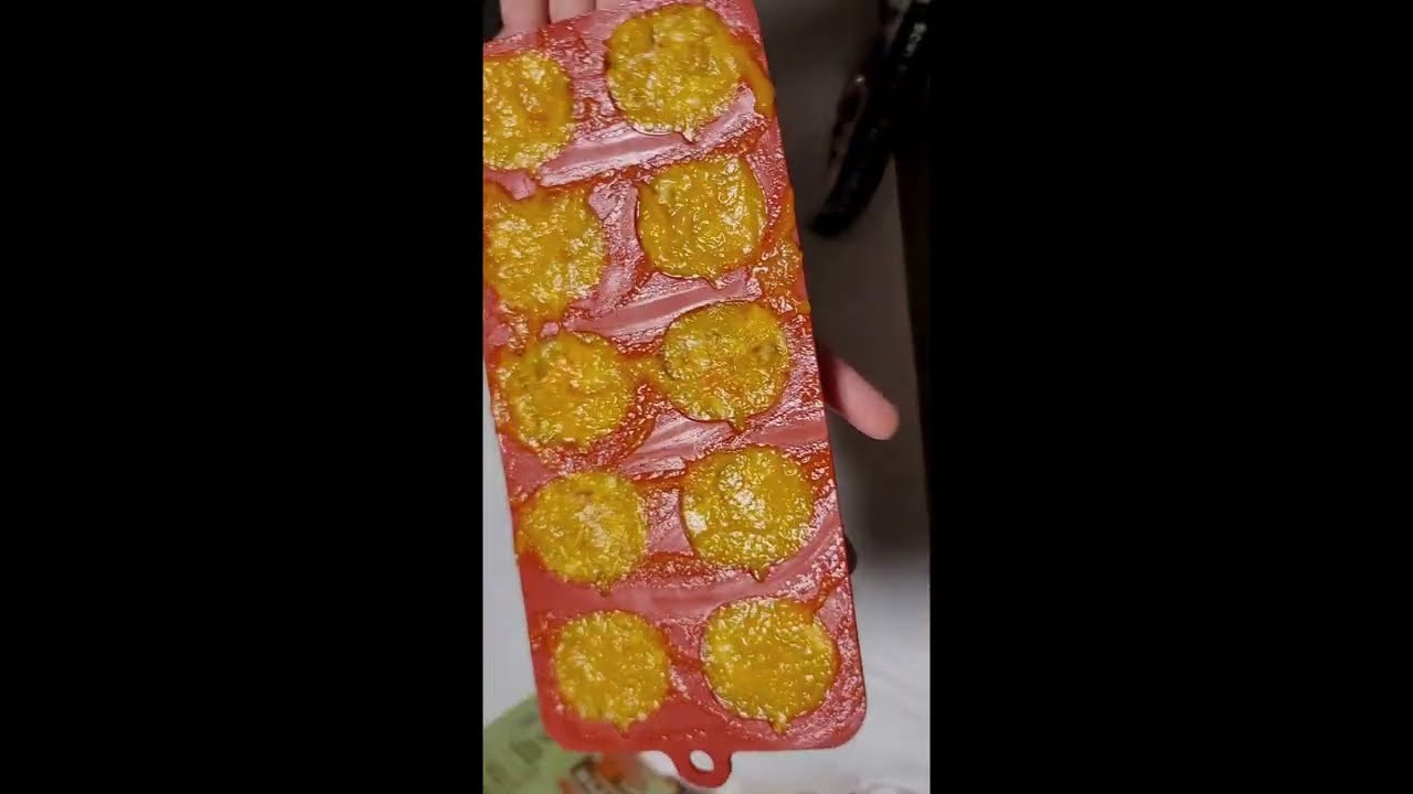 DIY Dog Pumpkin Treats - ASMR -