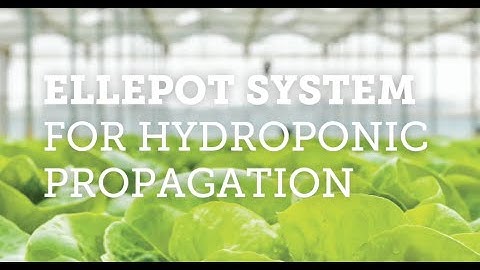 THE ELLEPOT SYSTEM FOR HYDROPONIC PROPAGATION