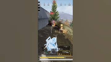 BY15 - The Resurrection of Shotguns