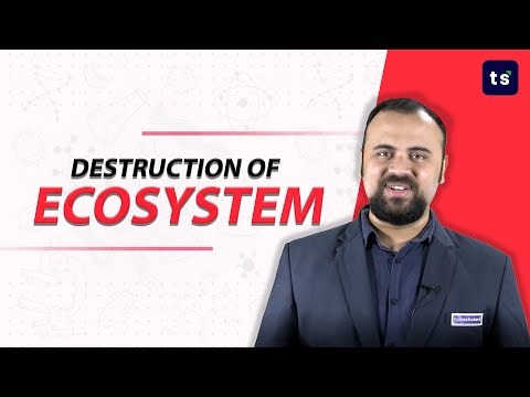 Destruction of ecosystem | Biology | Ecosystem | Pollution