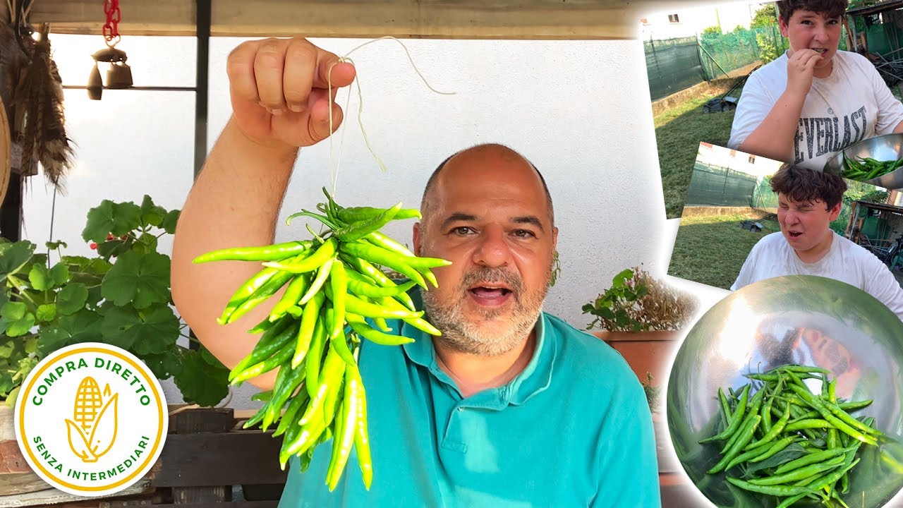 #24 - Peperoncini secchi fatti in casa