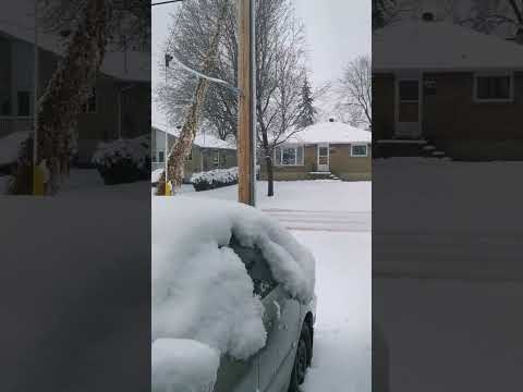 pov winters in Canada 🇨🇦