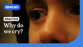 Why do humans cry | ABC NEWS