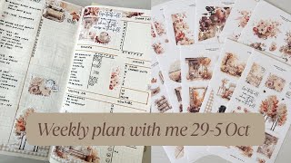 видео: N1 Еженедельный план со мной || Sterling ink Общий планировщик картинка: N1 Еженедельный план со мной || Sterling ink Общий планировщик