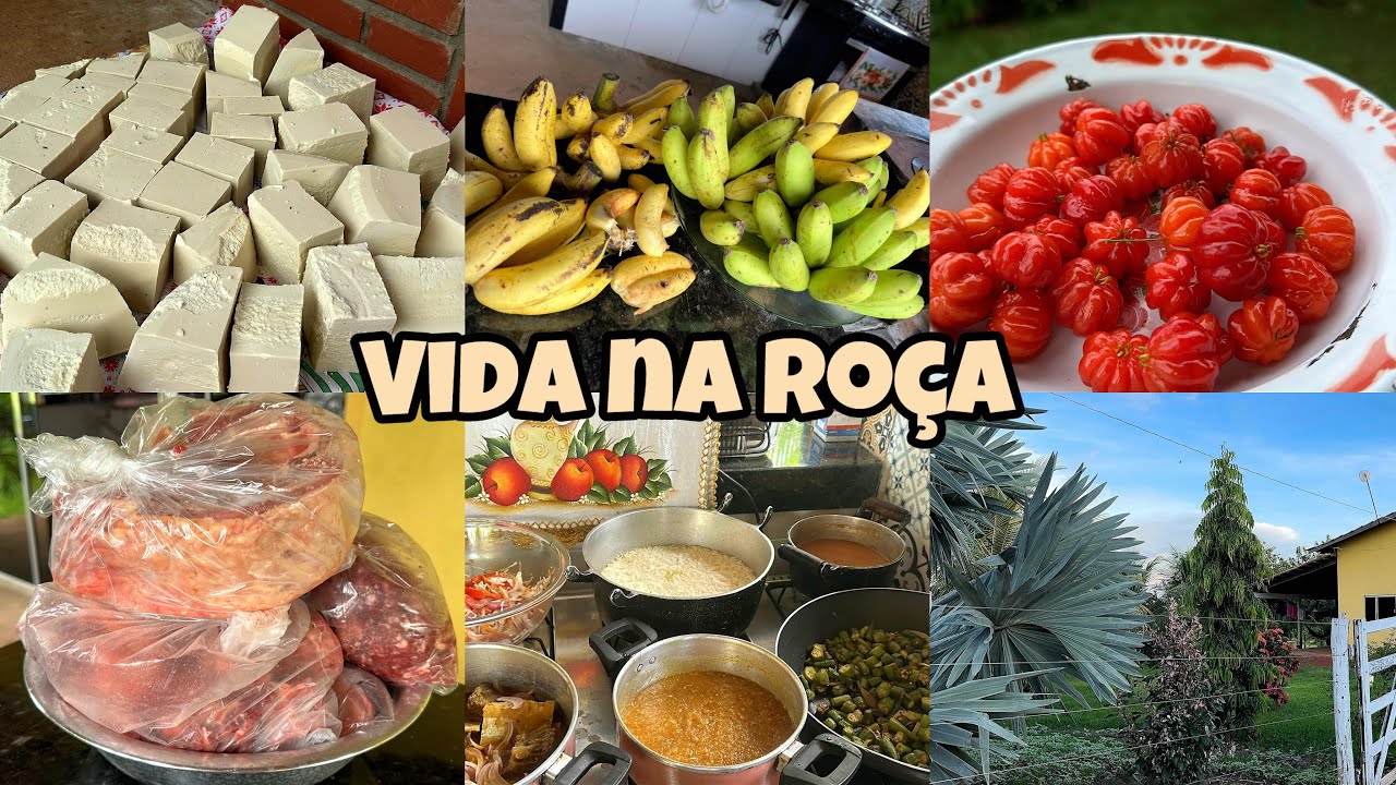 Delícias, farturas, colheitas, fabricação/ roça melhor lugar do mundo pra viver e ser feliz