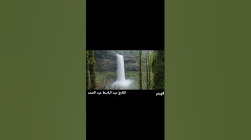 غذاء الروح ... #قرآن #quran #تلاوة_خاشعة #اكسبلور #لايك #تيك_توك