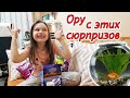 КОМУ ДОСТАНЕТСЯ ЭТА Рыбка 😲 ОРУ С ЭТИХ СЮРПРИЗОВ