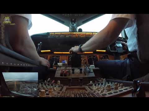 Video: Vilka flygbolag är partner med Lufthansa?