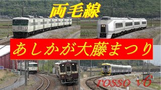 両毛線・2019~あしかが大藤まつり