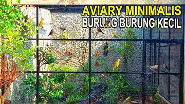 MEMBUAT AVIARY MINIMALIS 3m x 3m x 3m