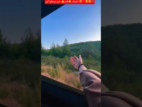 كترت في بالنا الأسئلة وزادت حيرتها    اكسبلور   ترند اغاني