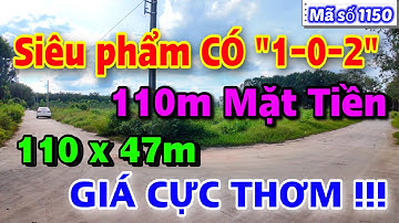 ĐẤT MẪU BÌNH DƯƠNG ⛔ SIÊU PHẨM CÓ 1-0-2 GÓC 2 MẶT TIỀN DT : 5165m2 có 110m Mặt Tiền.