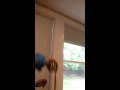 Window Covering Safety Tip: 2 cord cleats are better than one! Window Covering Safety Tip: 2 cord cleats are better than one!