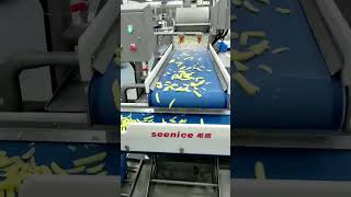 Seenice Wavy Potato (Crinkle Cut) Processing Line – Shandong, China Customer