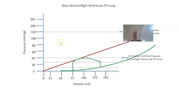 Cardiovascular Short Video:  PV-Loop Video #6 Right Ventricle