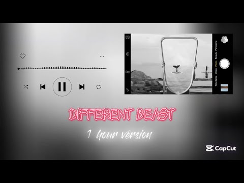 Different Beast -