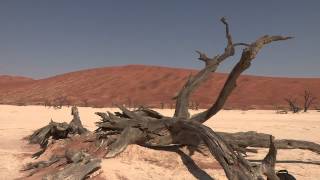 Namibie : De?sert du Namib