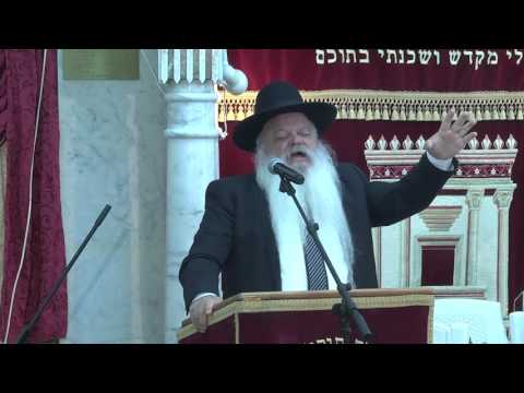 לראותם בלבד | מסיבת חנוכה | הרב דניאל זר