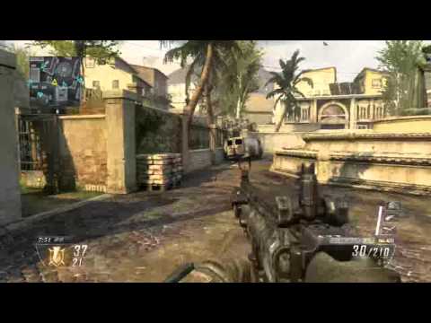 COD:BO2 自動Clipケアパケスウォーム！