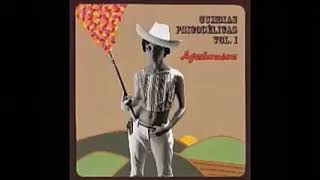 Various ‎– Ayahuasca: Cumbias Psicodelicas Vol.1 : 70's Peru Psych Soul Rock Latin Folk Funk Music