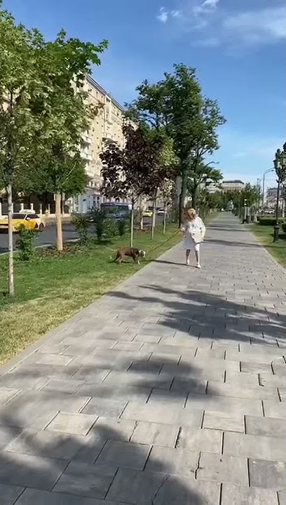 youtube.com