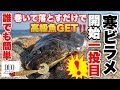 【寒ヒラメ】開始一投目！DUOハウルで高級魚ヒラメをGET！