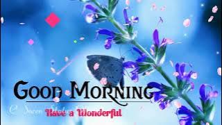 Sagun Setah (Good Morning) / New Santali Status Video 2022