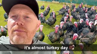 Bill Burrs Thanksgiving Advice