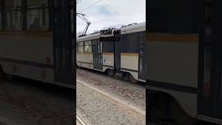 Tram 44 Brussels scenic route in Autumn. #shortsvideos #shortsyoutube #ashortaday #brussels #belgium