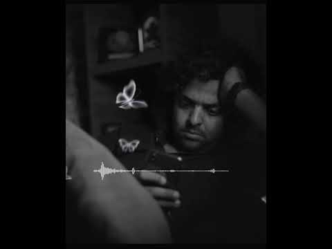 عمرو حسن حلات واتس وحشتيني حالات واتس 