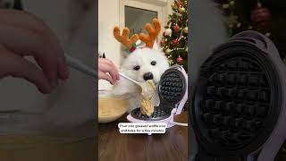 Dog Makes Pumpkin Woofles 🧇 | Day 21 Advent Calendar #Shorts #Dog