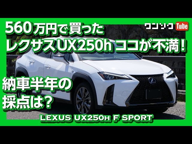 Unforgivable!] Lexus UX250h Review: How Does the ¥5.6 Million SUV
