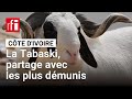 Côte d'Ivoire : le monde musulman célèbre la Tabaksi, la fête du sacrifice • RFI