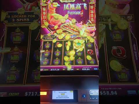 Juegos gratis ,torneos diarios participa y gana dinero real