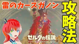 【ゼルダの伝説】雷のカースガノンの倒し方【ブレスオブザワイルド】［初心者向け/簡単/倒し方/ビタロック/強すぎ/攻略/ゲーム実況/BotW］