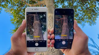 iPhone 8 Plus vs iPhone XS Portrait Mode Test | Day & Night Results