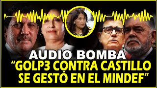 FILTRAN AUDIO DE EXSEC. DEL MINDEF LINA SÁNCHEZ SOBRE EL GOLP3 CONTRA CASTILLO