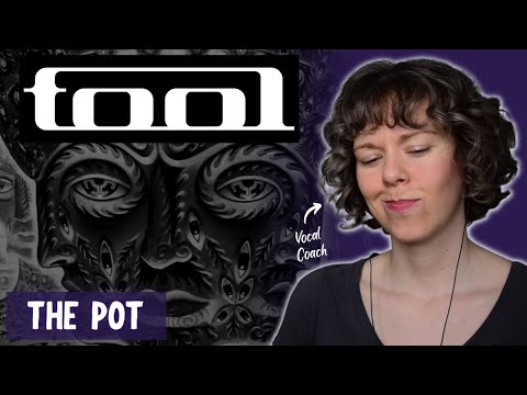 Vocal Coach Listens To The Pot For The First Time - Tool Reaction And Vocal Analysis
