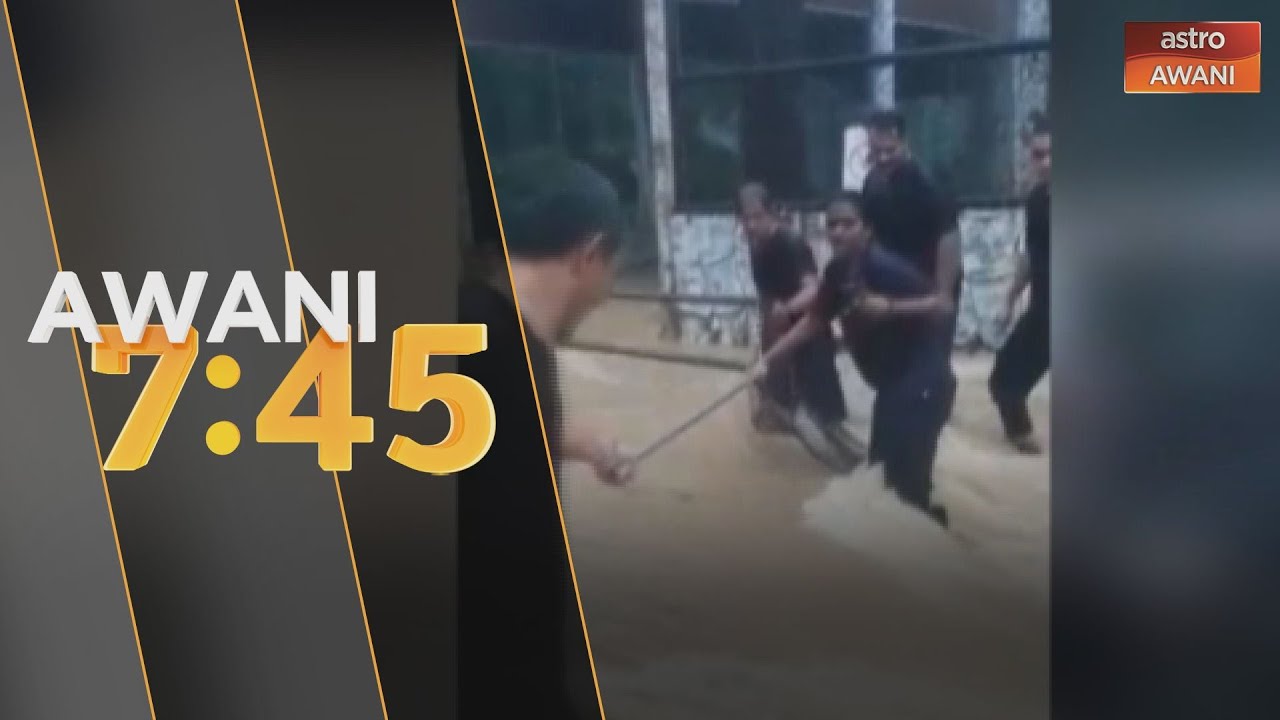 Zoo Negara Banjir Haiwan Sempat Diselamatkan Youtube