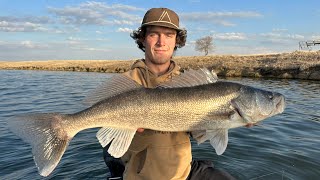 My First Time Walleye Fishing South Dakota (BIG Aggressive Shallow Walleyes!)