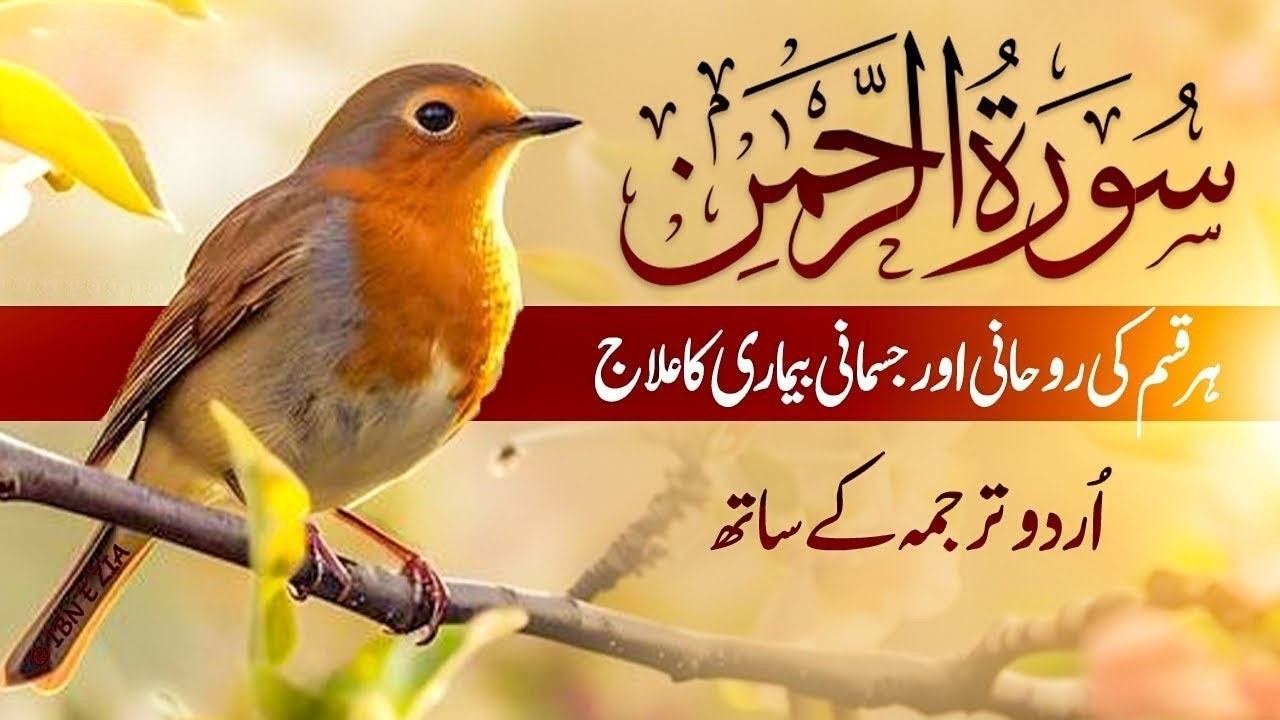 ✅SURAH RAHMAN | URDU TARJUMA KE SATH | BY QARI AL SHAIKH ABDUL BASIT ABDUL SAMAD