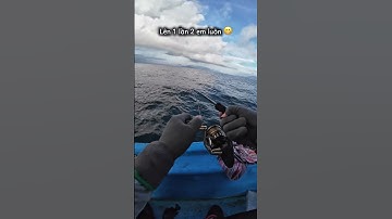 Đi câu cá biển Nha Trang giải trí 😁 #caucanhatrang #caucagiaitri #nhatrang #tourcaucanhatrang