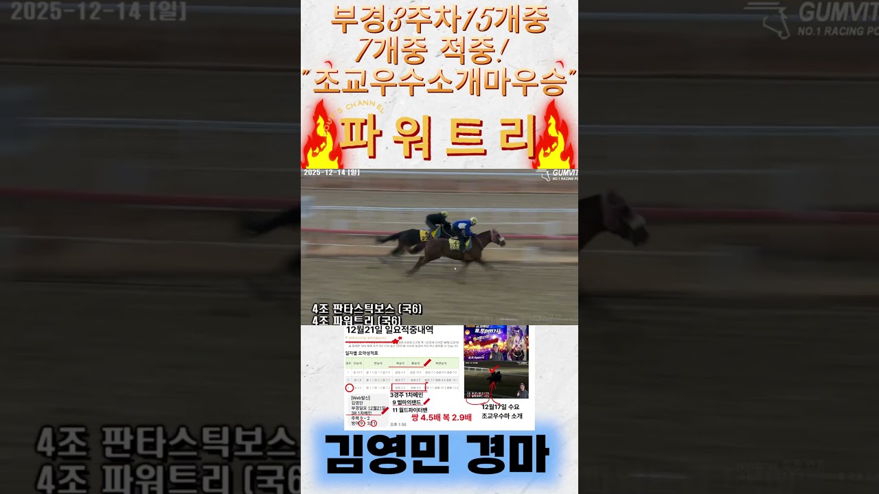 조교 우수마 콘텐츠 소개마 '파워트리' 우승! #shorts