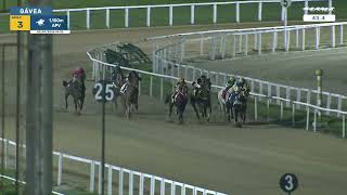 Vidéo de la course PMU PREMIO ASTRO GRANDE