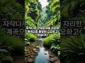 🏞️&quot;한국 놀러 가기 좋은 계곡 TOP 10&quot;🏊‍♂️⛰️ #shorts