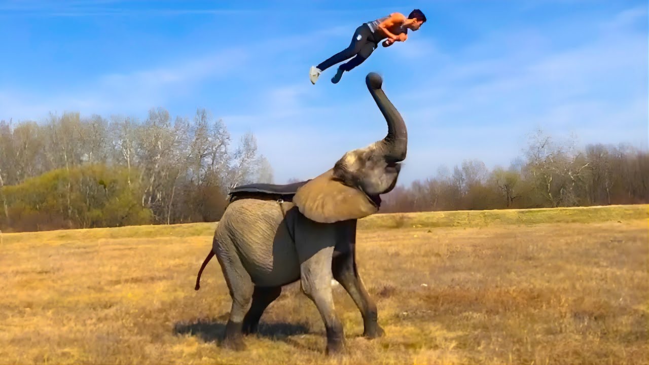 TOP BEST VIDEOS OF THE INTERNET