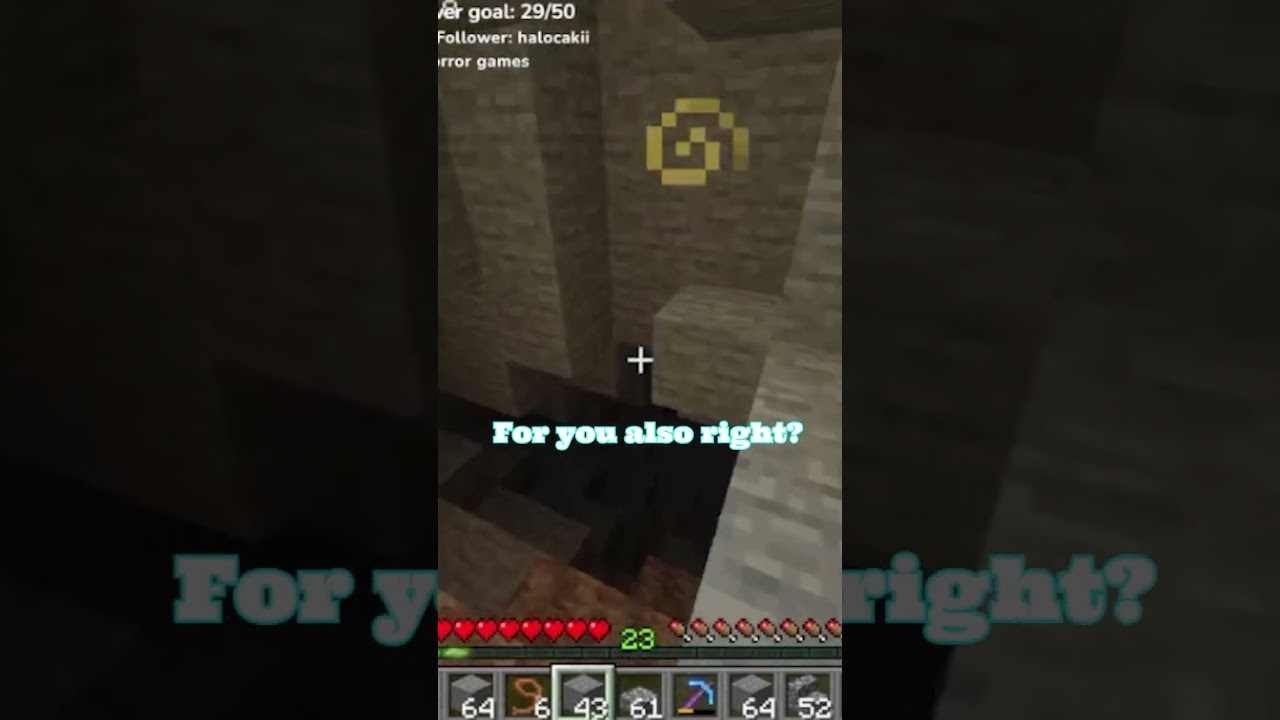 Swear it is called allay... #minecraft #funny #bystander