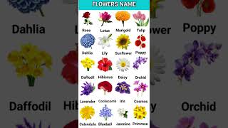 20 Flowers Name In English