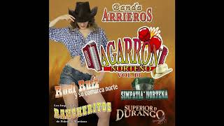 Agarron Norteño - Vol.10  La Troca Vieja